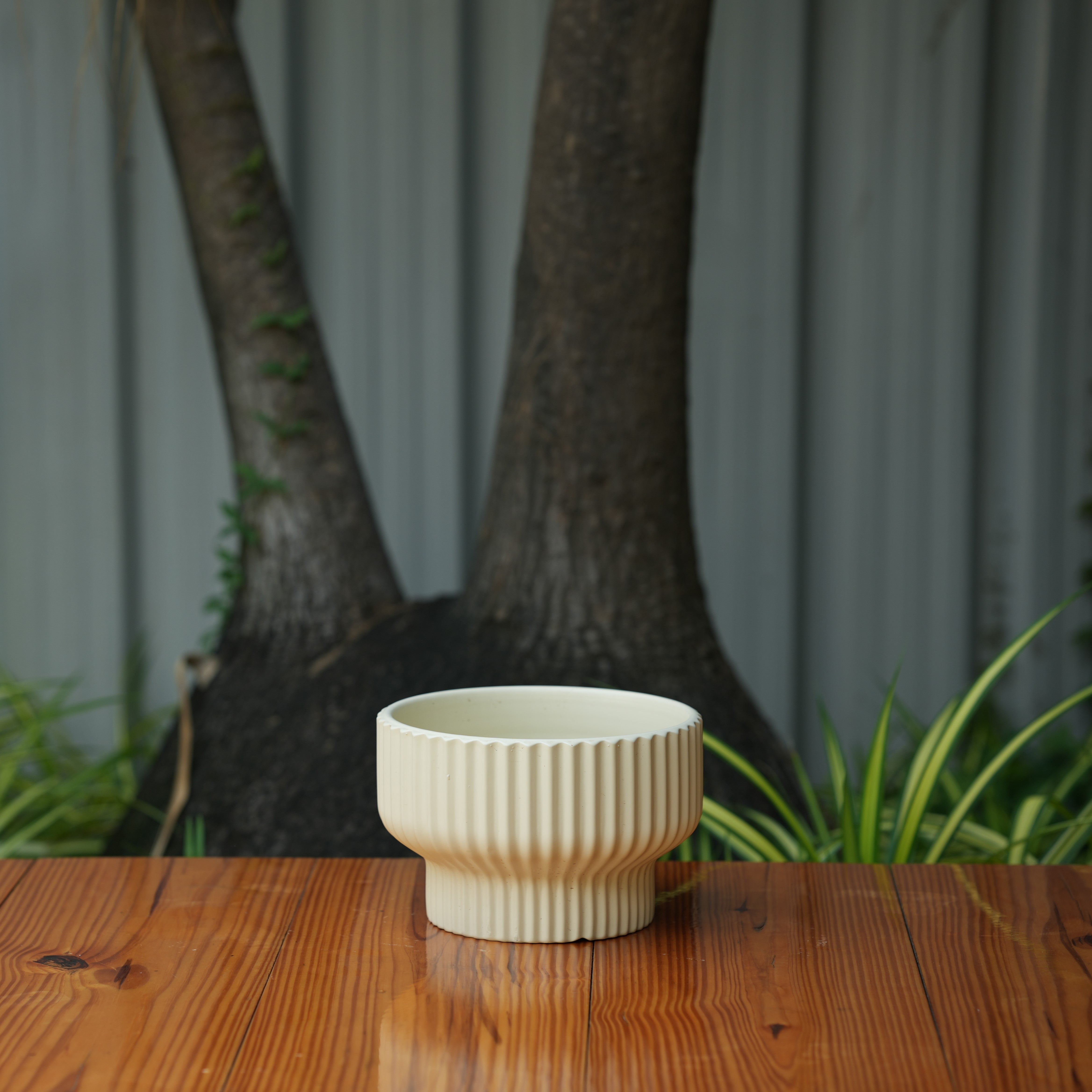 Round Shape Ribbed Cream Colour Ceramic Planter