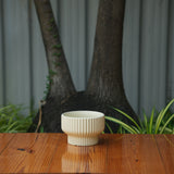 Round Shape Ribbed Cream Colour Ceramic Planter