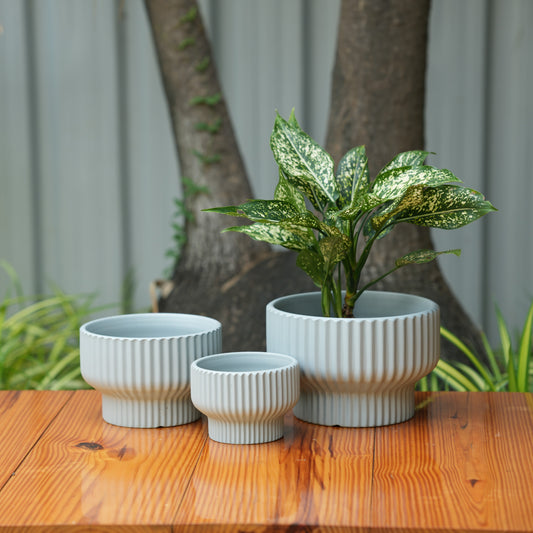 Round Shape Ribbed Grey Colour Ceramic Planter