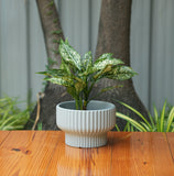 Round Shape Ribbed Grey Colour Ceramic Planter