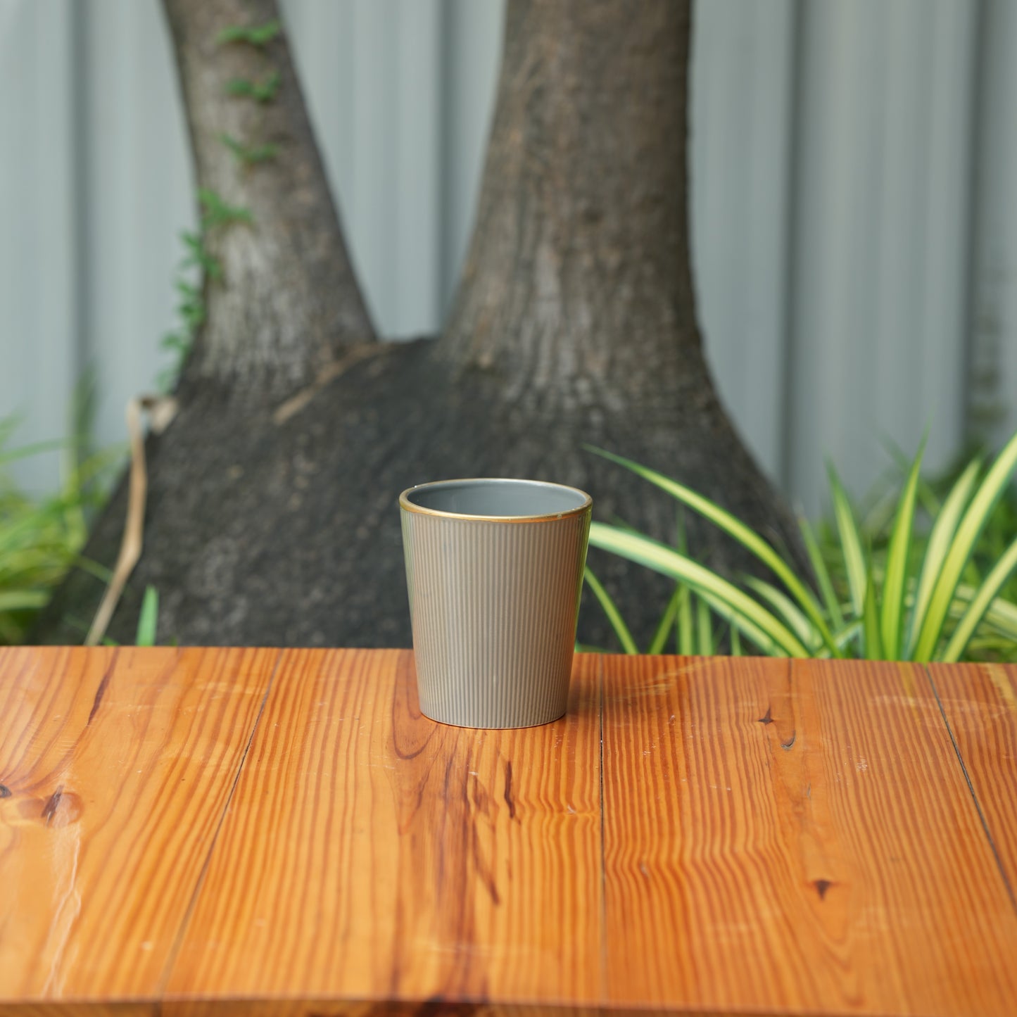 Cone shape With Glossy Finish Ceramic Planter