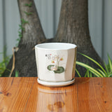 Printed Glossy Finish Ceramic Planter With Tray