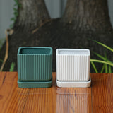 Square Shape Planter With Tray