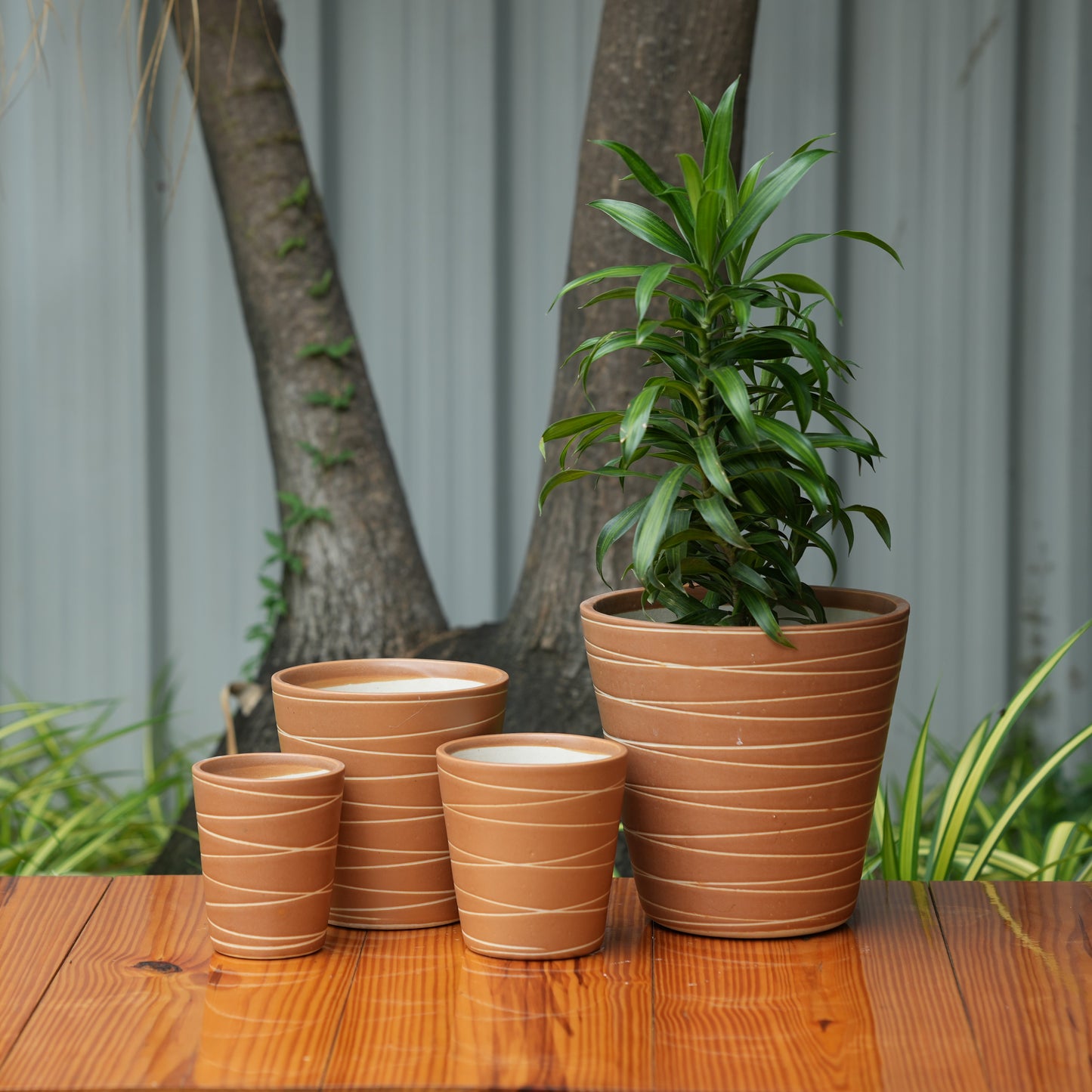 Cone Shape White Stripe Design Planter (Brown)