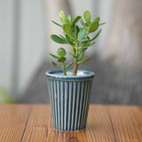 Vertical Ribbed Ceramic Planter- Blue