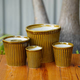 Vertical Ribbed Ceramic Planter- Mustard Yellow