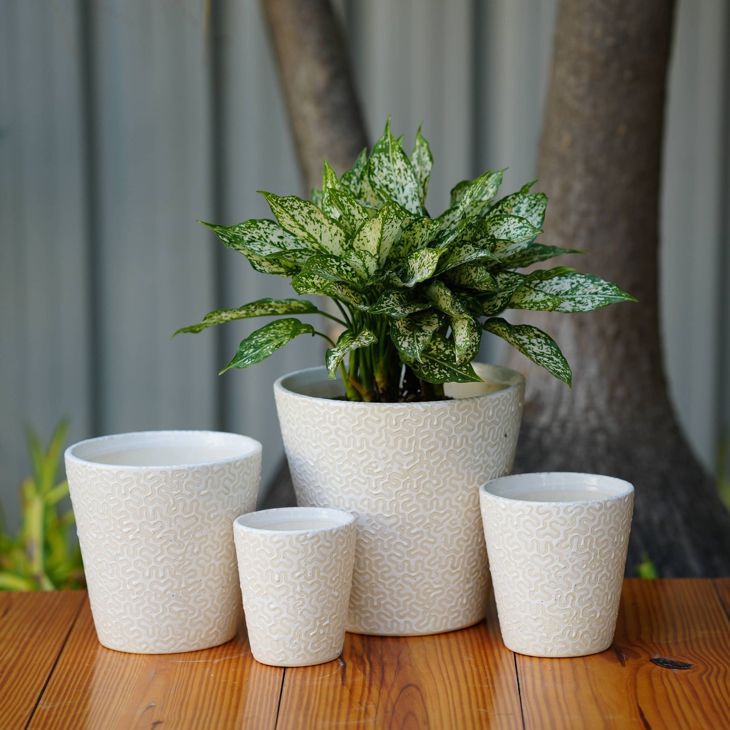 Modern White Ceramic Pot with Textured Pattern