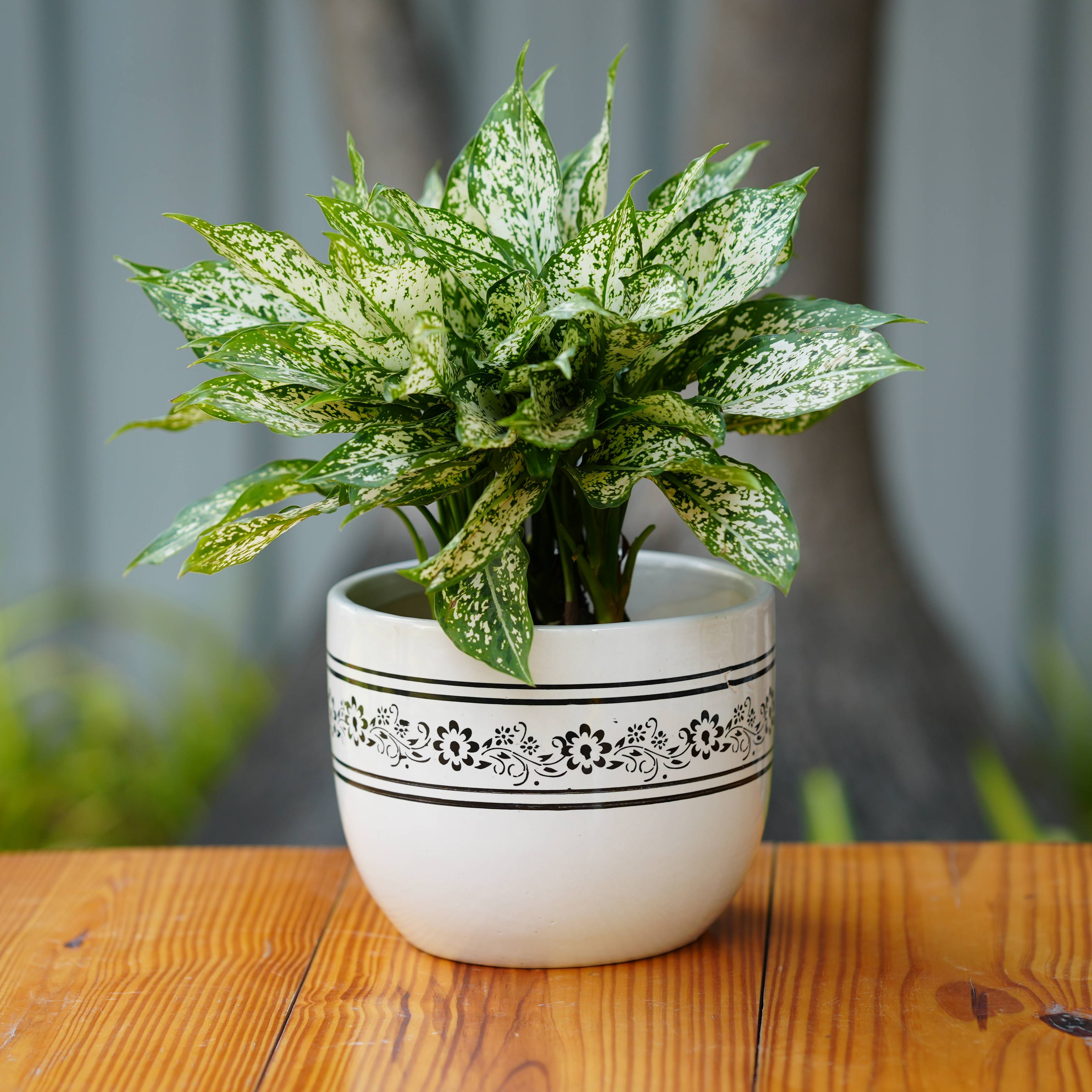 Elegant White Ceramic Planter with Vintage Floral Pattern