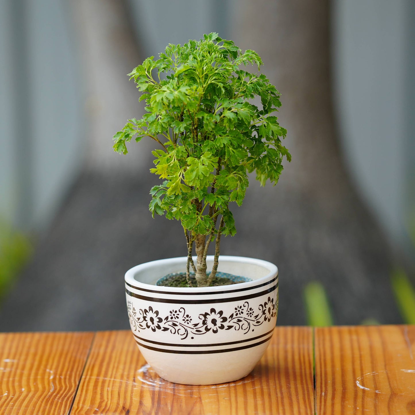 Elegant White Ceramic Planter with Vintage Floral Pattern