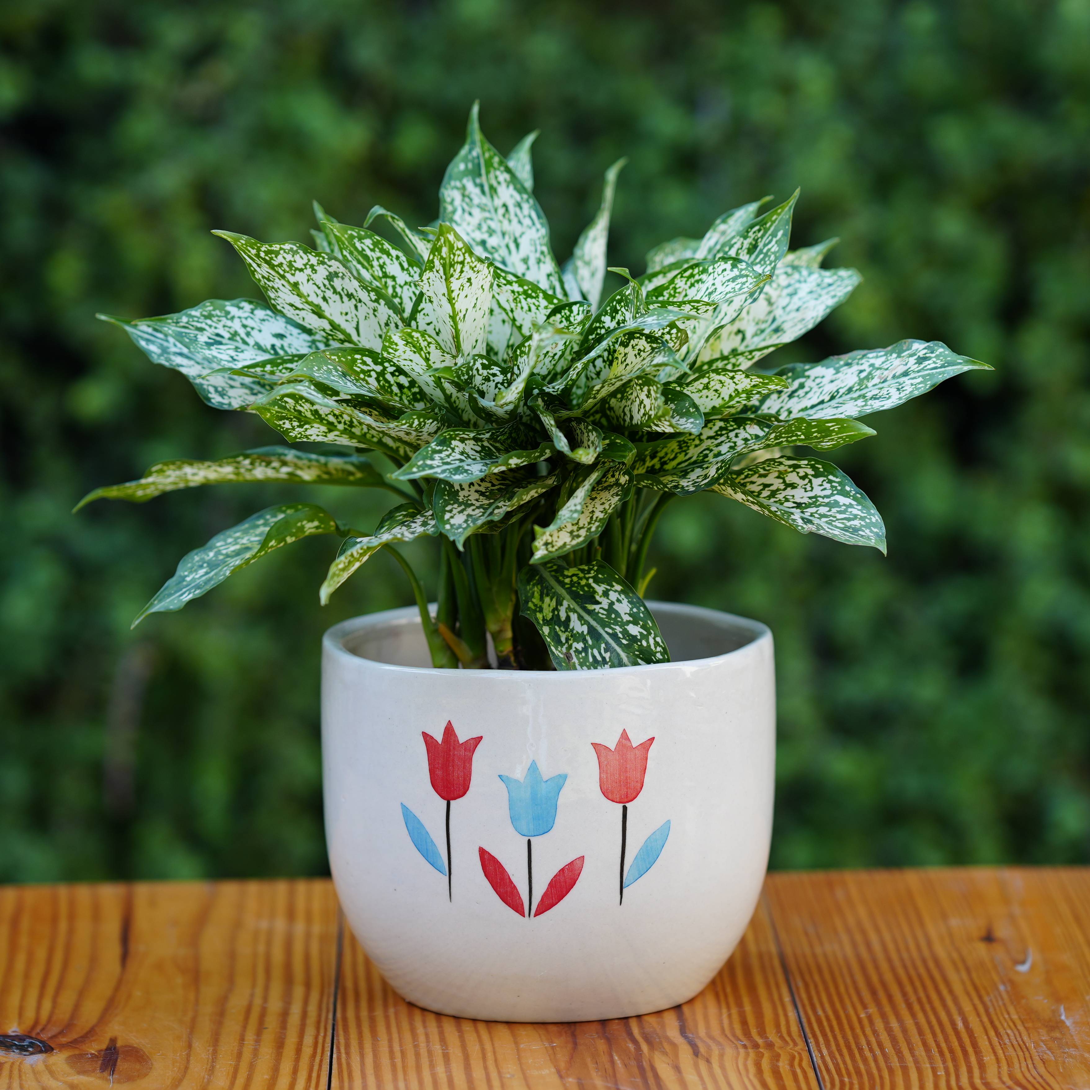 Floral Painted Ceramic Planter