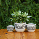 White Ceramic Planter with Black Botanical Design