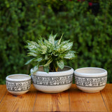 Classic White Ceramic Planter with Decorative Black Filigree