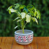 Nature-Inspired Red and Black Patterned Ceramic Planter