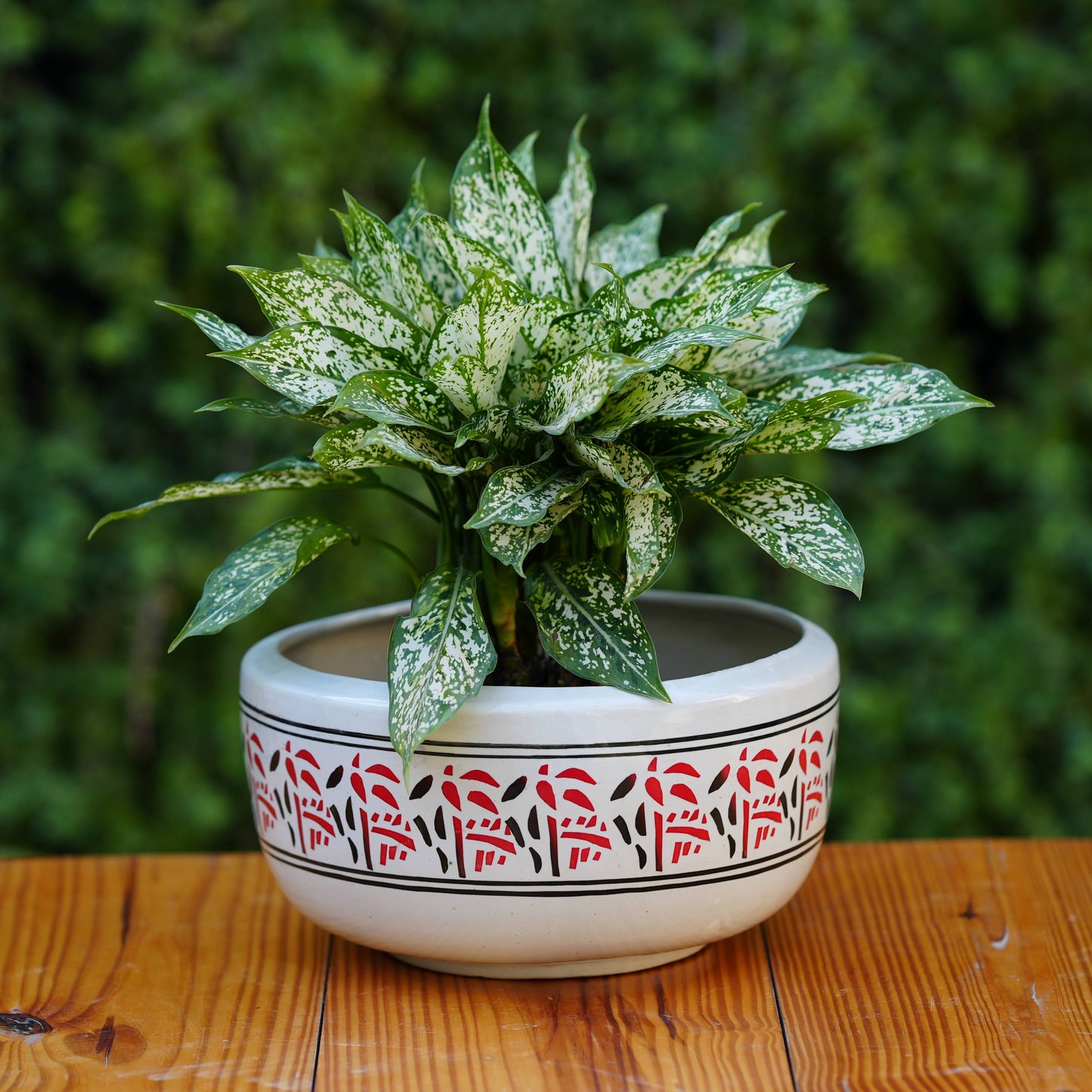 Nature-Inspired Red and Black Patterned Ceramic Planter