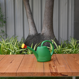 Plastic Watering Can for Gardening (2 LTR)