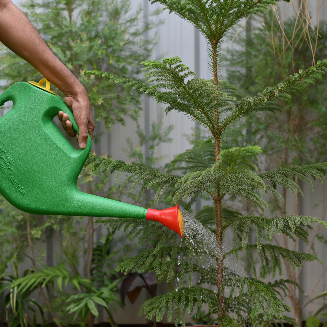 Plastic Watering Can for Gardening (5 LTR)