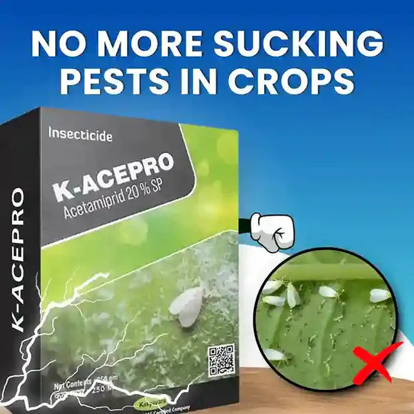 Katyayani K- Acepro | Acetamiprid 20% sp | Chemical Insecticide