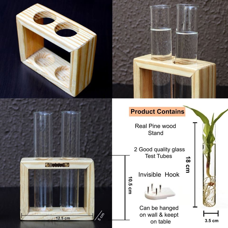 Glass Test Tube Flower Vase with Wood Stand