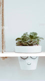 Tier-3 Wooden Hanging Planter Shelf, White