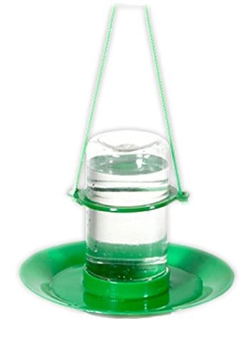 Amijivdaya Bird Water Feeder (Small)