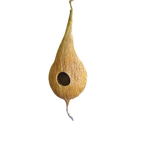 Mats Avenue Bird Nest with Hanging Hole Made Coconut Shell (5m)