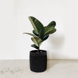 5 inch Cotton Black Pot Planter Bag