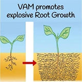 Shiviproducts Mycorrhiza VAM Bio Fungi For Root Growth And Plant Transplant