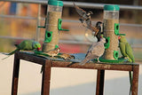 Amijivdaya Bird Food And Water Feeder Combo (Double Decker, Small)