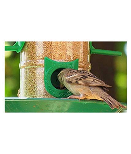 Amijivdaya Bird Feeder With Hut (Medium)