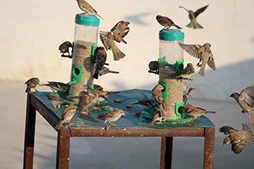 Amijivdaya Bird Food And Water Feeder Combo (Double Decker, Small)