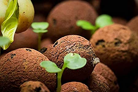 Pindfresh Hydroponics/Aquaponics Leca/Clay Balls