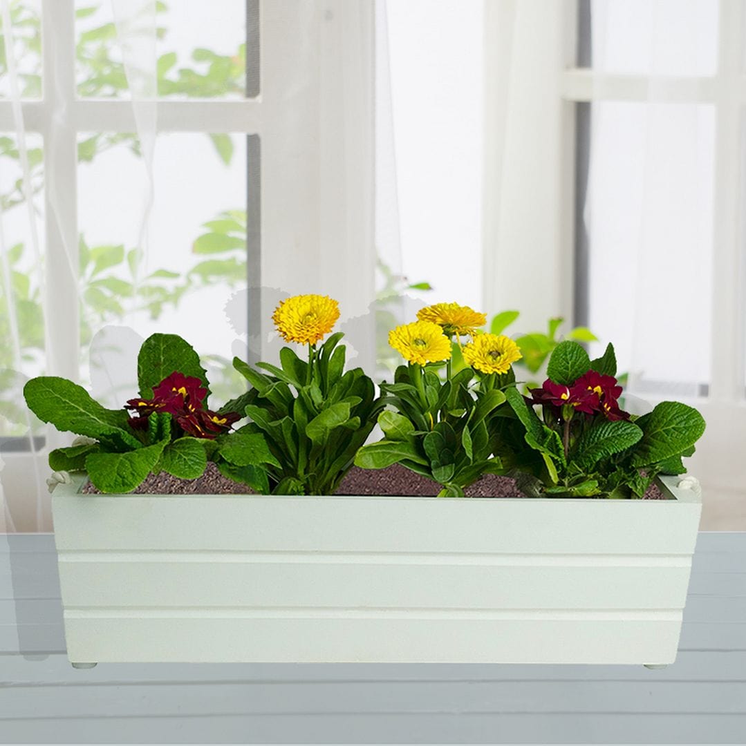 GreenUp Wooden Boat Planter (Rectangle Shaped)