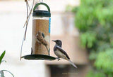 Amijivdaya Bird Feeder With Hut (Small, Green)