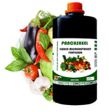 Panchsheel All in One Liquid Fertilizer For Vegetable Plants & Crops