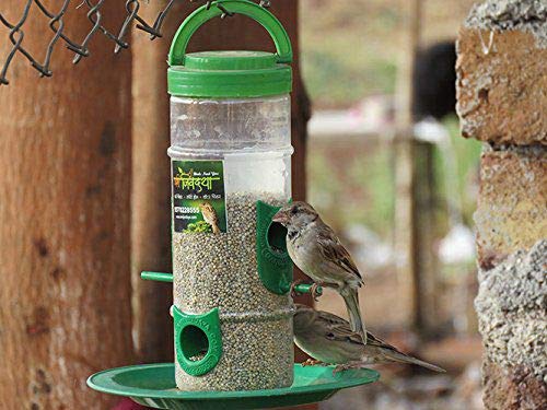 Amijivdaya Bird Feeder With Hut (Small, Green)