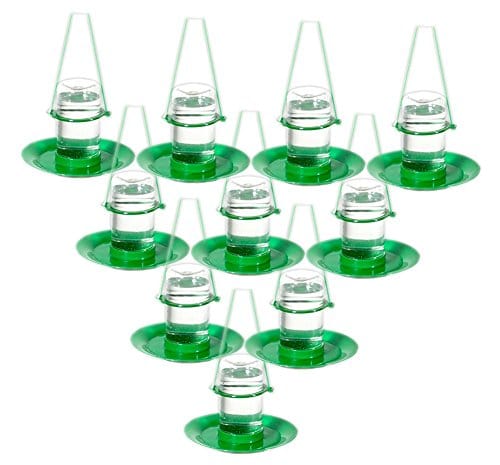 Amijivdaya Bird Water Feeder (Small)