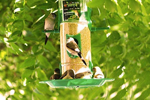 Amijivdaya Bird Feeder With Hut (Medium)