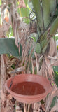 Om Craft Villa Hanging Round Bird Bath