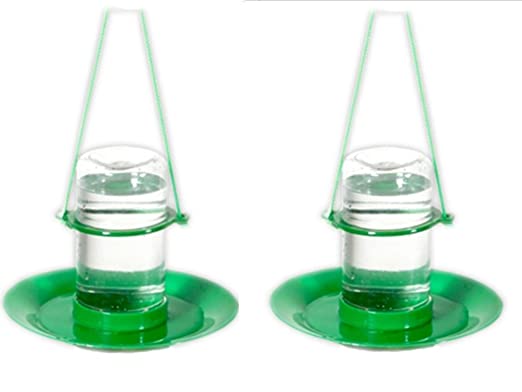 Amijivdaya Bird Water Feeder (Small)