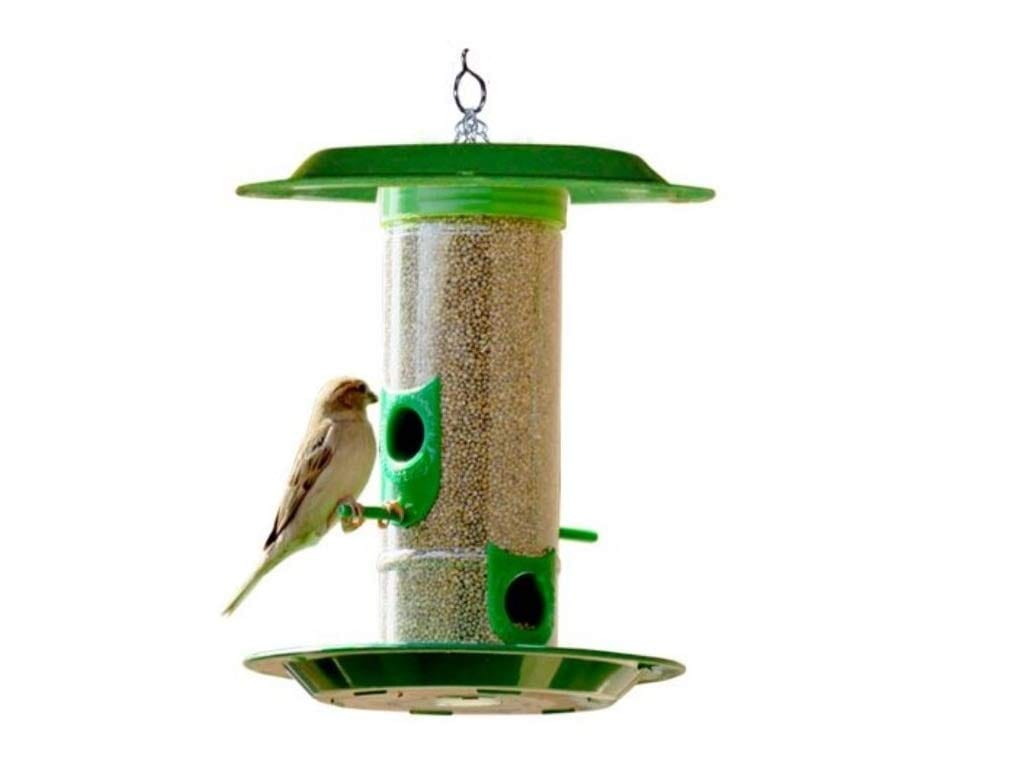 Amijivdaya Bird Feeder With Hut (Medium)