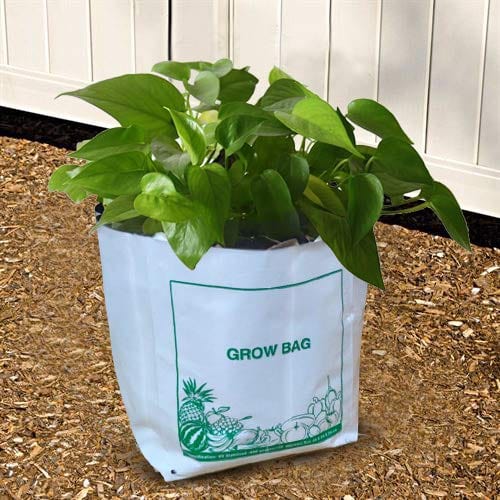 Mats Avenue UV Stabilized Large Grow Bags (40x24x24) -Set of 10