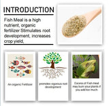 Shiviproducts Oraganic Fish Meal Fertilizer