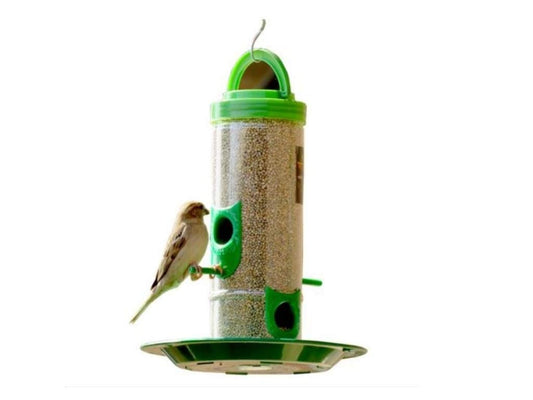 Amijivdaya Bird Feeder With Handle (Medium)