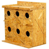 Amijivdaya Square Wooden Bird House