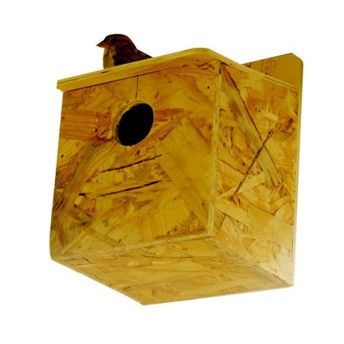 Amijivdaya Bird Home (Small)