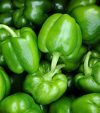 Aero Seeds Capsicum Vegetable Seeds (50 Seeds)