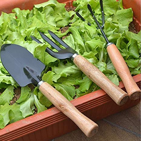 FreshDcart Gardening Tool Set (Cultivator, Trowel & Gardening Fork)