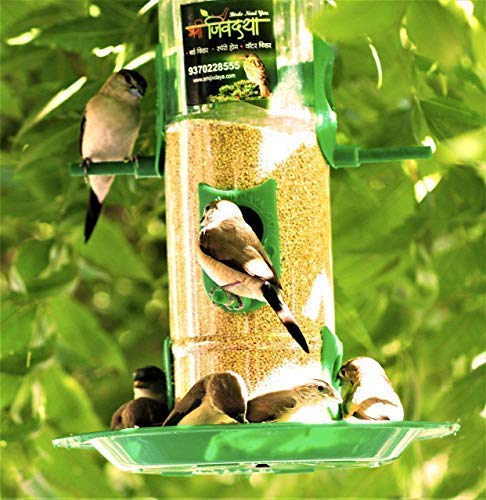 Amijivdaya Bird Feeder With Hut (Medium)