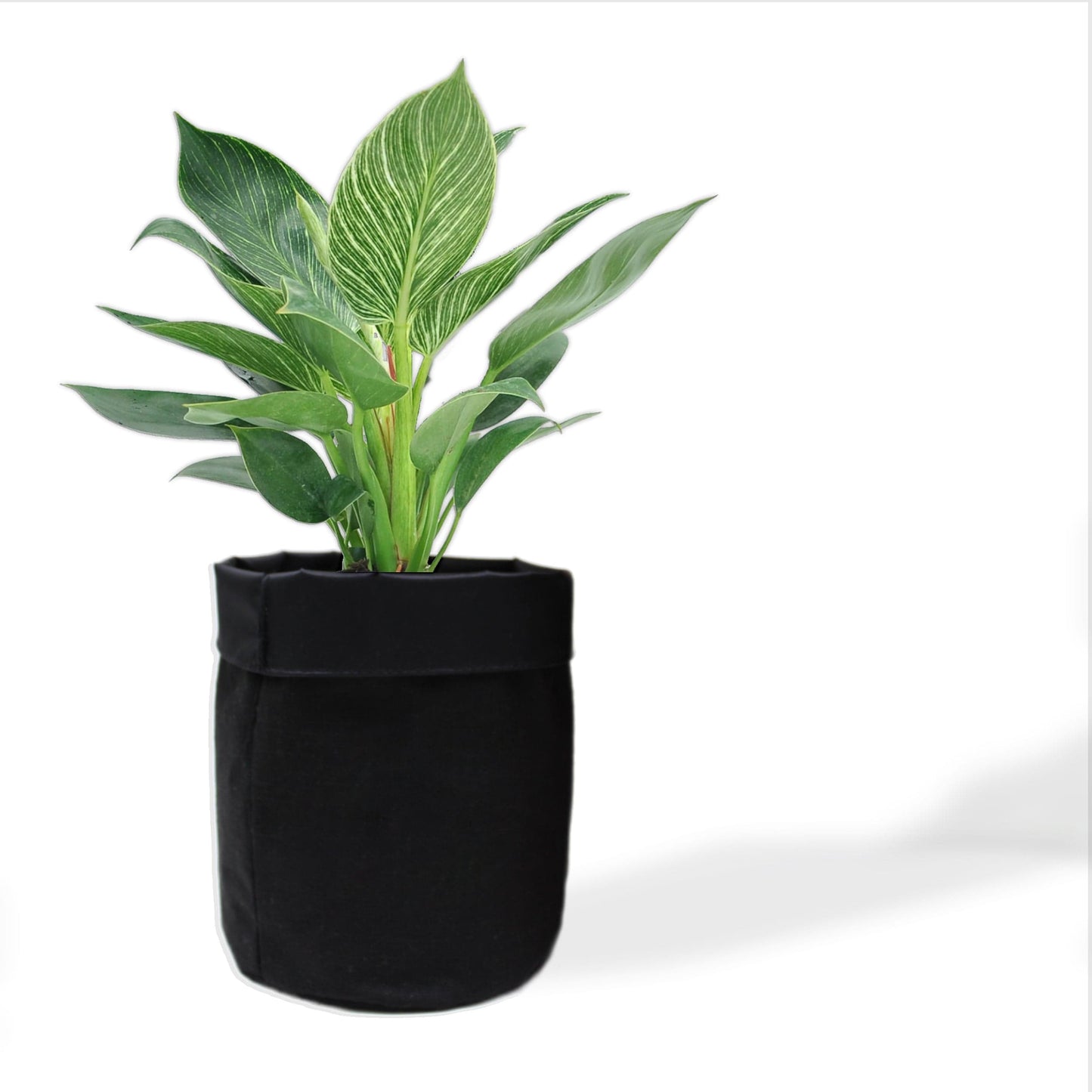 5 inch Cotton Black Pot Planter Bag