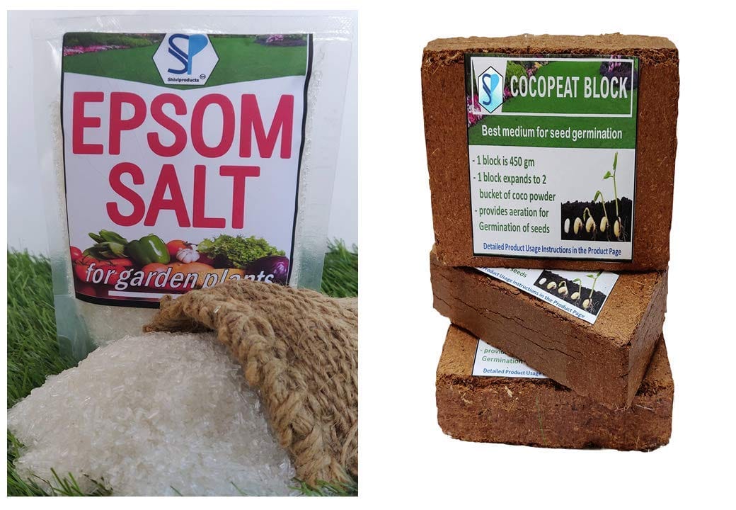 Shiviproducts Epsom Salt and Cocopeat Block Free Coriander Seeds